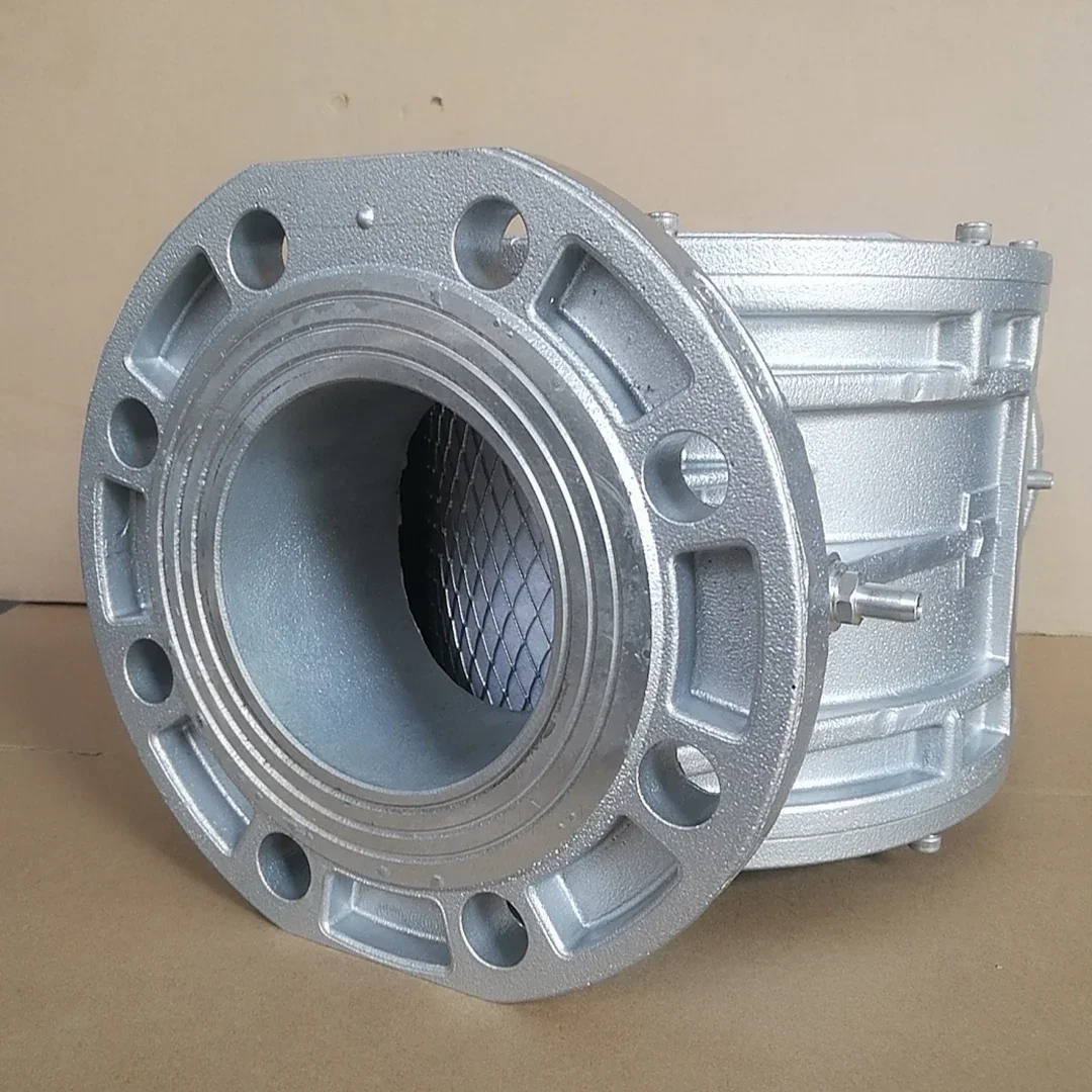 filtro DN100/F Filtro industriale 4'' PN16