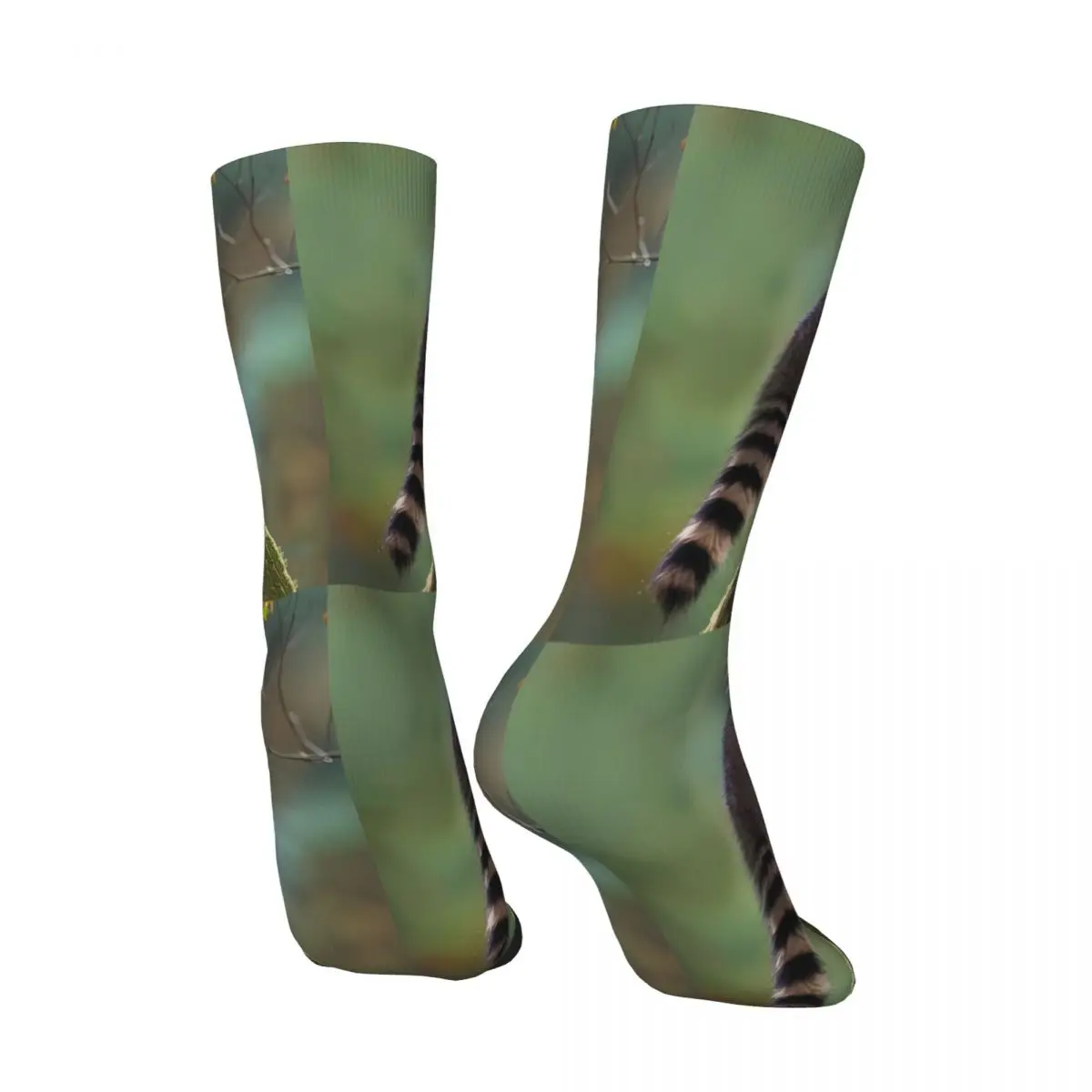Raccoon Sock Printed Man Polyester