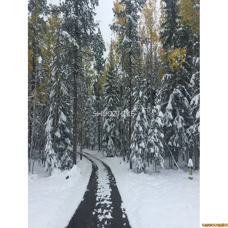 قطرات خلفية للتصوير الفوتوغرافي للغابات الشتوية ، طريق مغطى بالثلوج ، ندفات الثلج ، أشجار التنوب ، خلفية الصورة ،