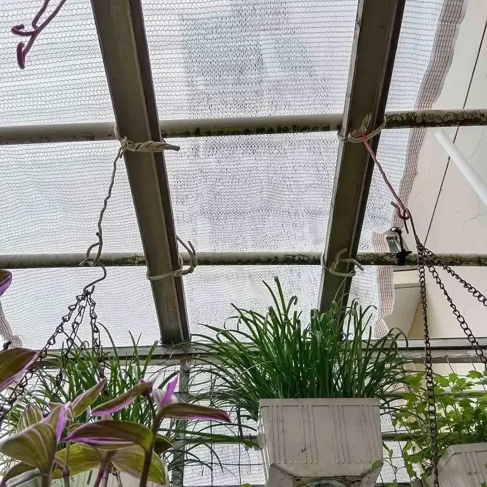 50% Outdoor Shade Net, Heavy-Duty Privacy Cover, Breathable Mesh Tarp with Grommets for Greenhouse Plants and Patio, 3.3x3.3 to