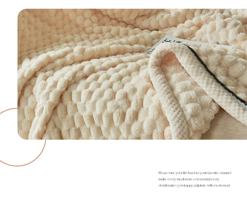Turtle Velvet Spring Autumn Warm Blankets for Bed Soft Fluffy Comfortable Coral Velvet Throw Blanket Sofa Single Double Blanket