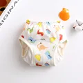 Colorful dinosaur