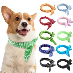 Summer Dog Cooling Collar Pet Cat Dog Ice Scarf Animal People Outdoor Sports Headband Towel Wristband Dog Bibs Pet Dog Supplies