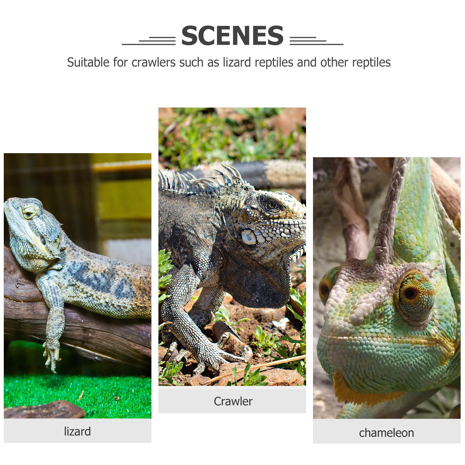 

1Set Durable Lizard Harness Adjustable Bearded Dragon Leash Outdoor Small Pet Walking Harness Gecko Reptile Supply