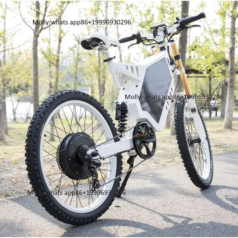 Overseas Warehouse Enduro E Bike Electric Dirt Bike 2000W to 8000W with 48V Lithium Battery Steel Front Hub Motor