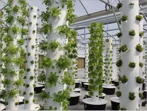 2025 استخدام زراعة البرج العمودي لمعدات الدفيئات الزراعية المائية