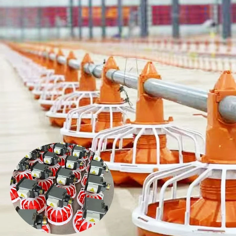 Modern Full-Automatic Poultry Farming Equipment for Broiler Breeding Chicken Shed/Chicken House Efficient Chicken Bird Feeders