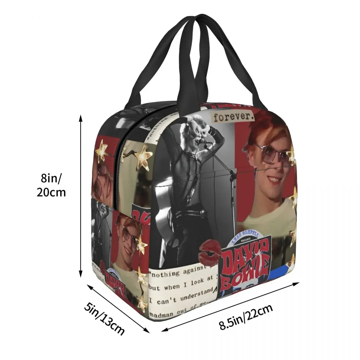 Singer Actor Insulated Lunch Bags Leakproof Davids Bowies Meal Container Thermal Bag Tote Lunch Box Work Outdoor Girl Boy