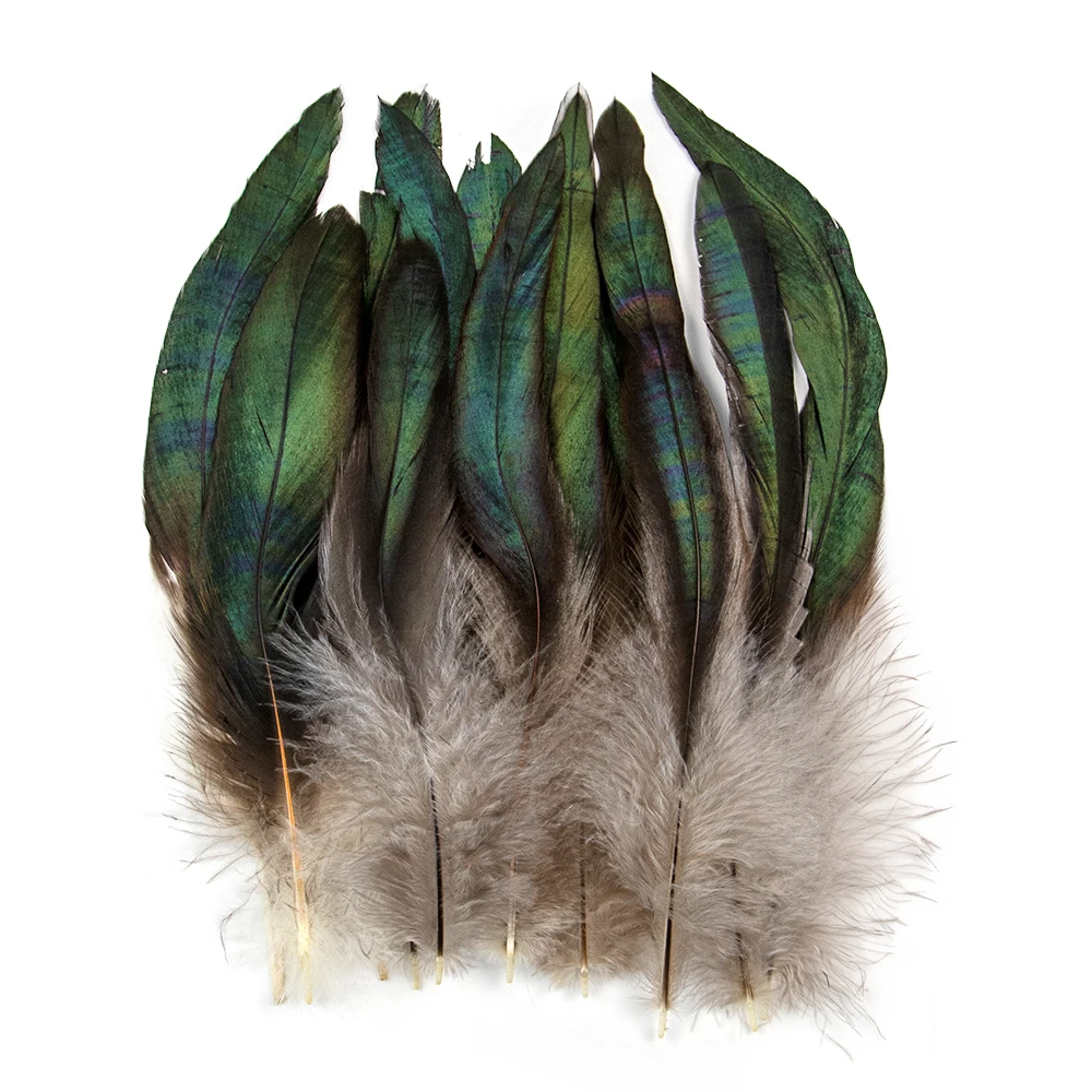 50 Stück schöne Hahnenfedern 15–20 cm/6–8 Zoll natürliche Fasanenfedern DIY Hochzeit Schmuck Dekoration Zubehör Handwerk