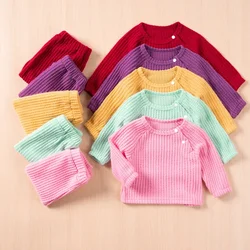 Autumn and Winter Toddler Solid Color Long Sleeved Sportswear and Pants Clothing Set for Casual Children's Daily Wear