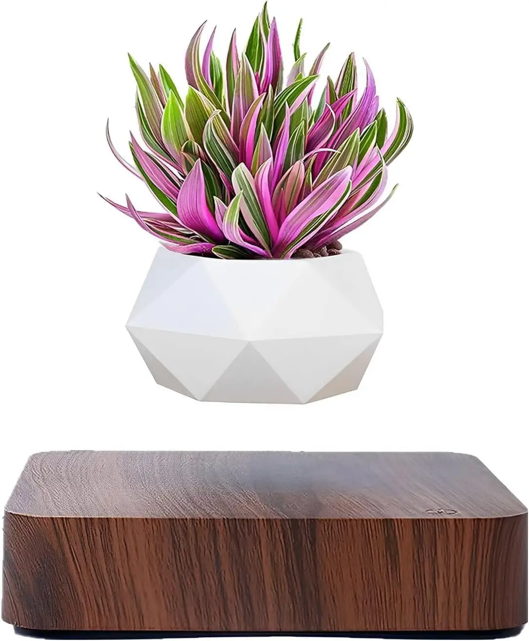 

Levitating Air Bonsai Pot, Cool Rotation Flower Planter for Home Desk Decor in Dark Color
