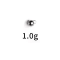 1g 10PCS