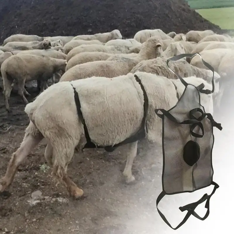 Anti Mating Apron For Goats Breathable Breeding Control Goat Anti Mating Apron Livestock Clothing Sheep Goat Weighted Apron For