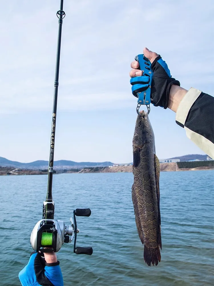 A War Bass Carbon F…