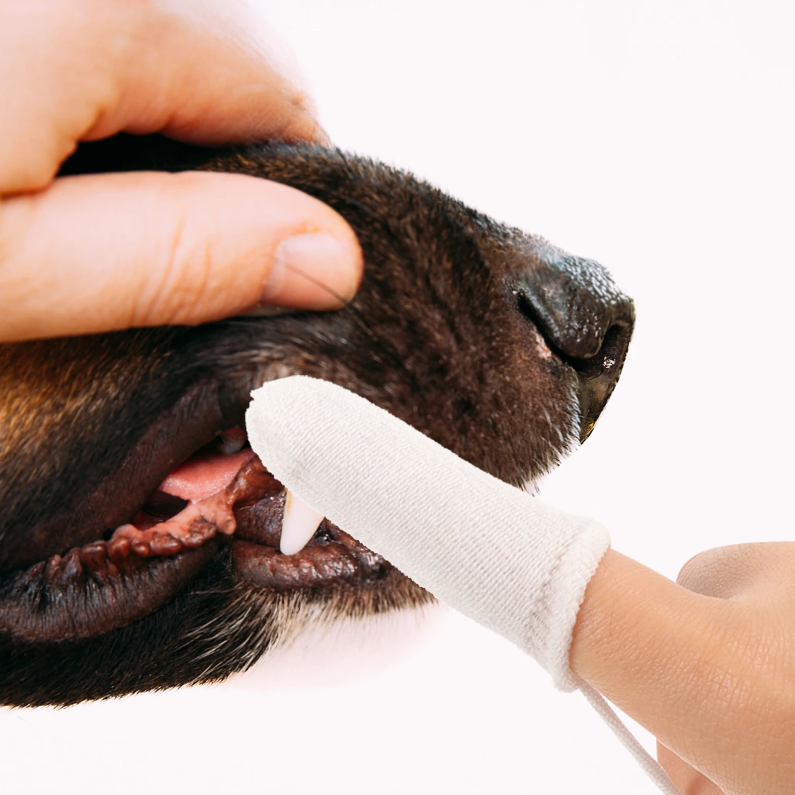 

10pcs White Pet Cleaning Finger Mitts Dog Cat Toothbrushes Oral Care Dental Plaque Removal Supplies Small Dogs Puppies