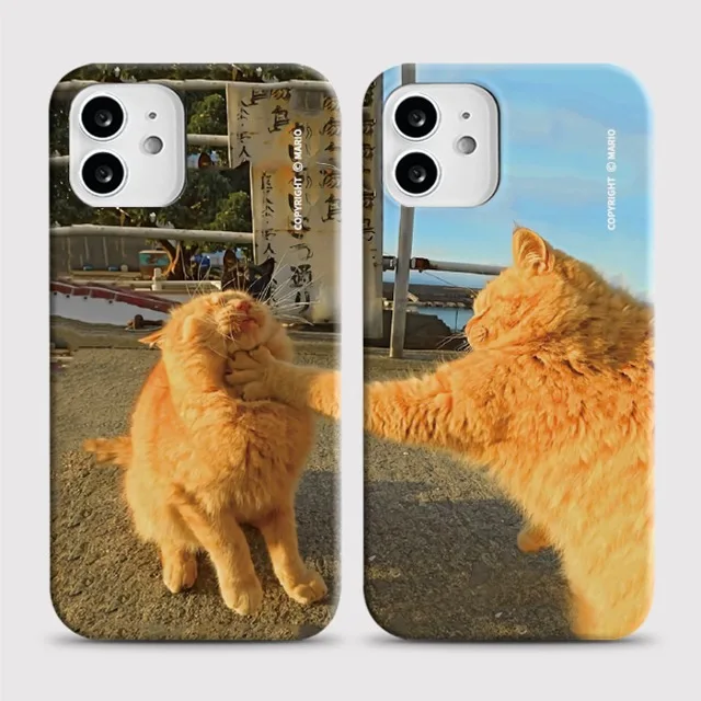 

Orange Cat Fun Interaction Phone Case for iPhone 17 16 15 14 13 12 11 Air Pro Max X XS XR XSMax 8 Plus Glossy Film Hard PC Cover