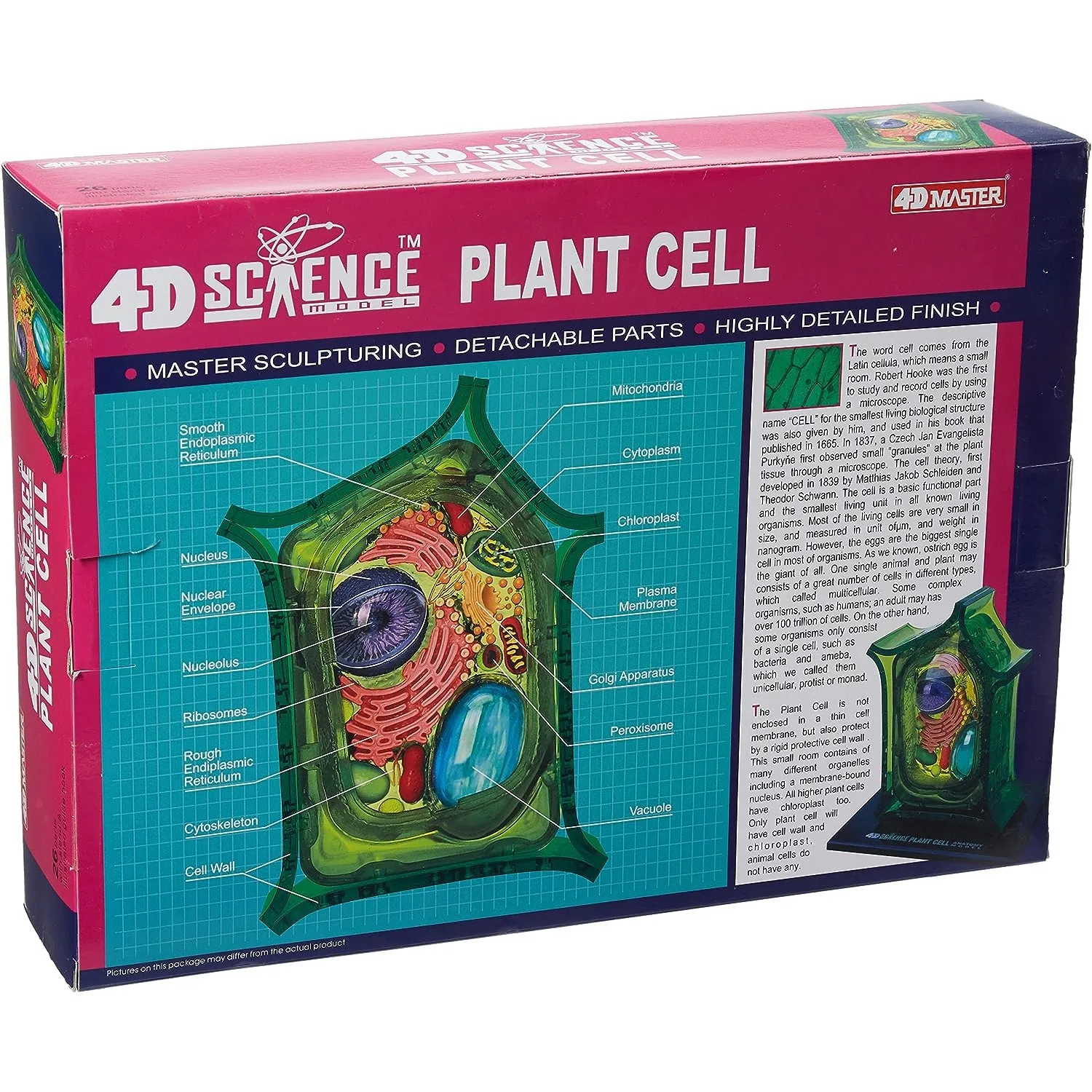 4D-Science Plant Cell Anatomy Model