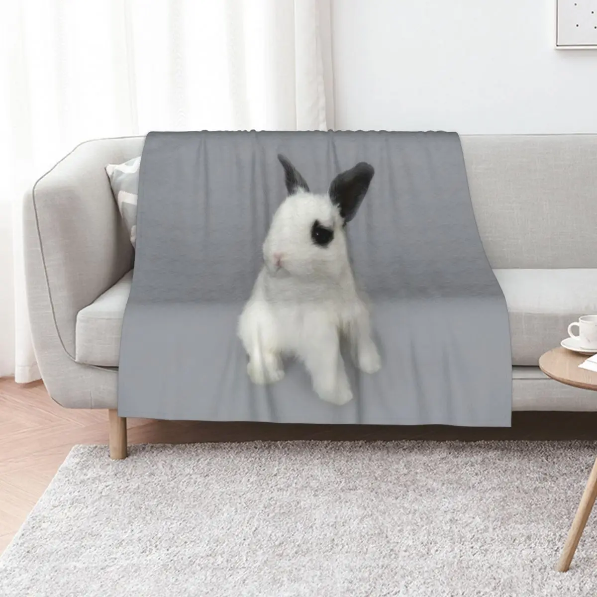 

Little Rabbit Throw Blanket warm winter Hairy Furrys warm for winter Blankets