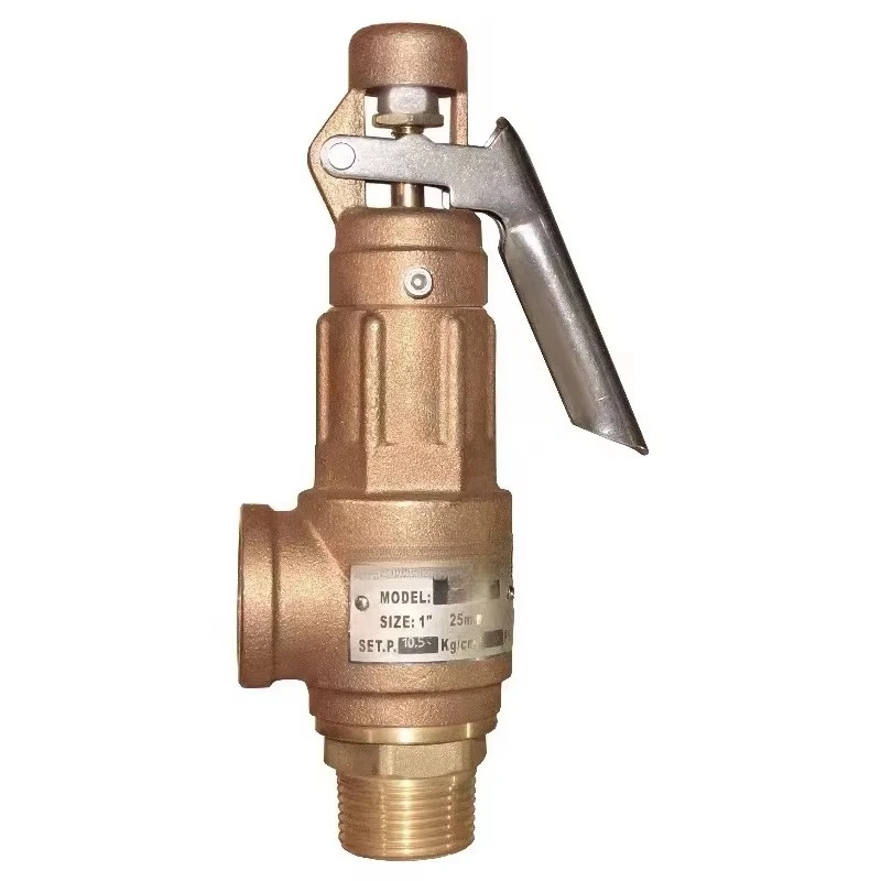 Factory Directly Sells Manual Type DN40 BSP Thread Brass Safety Auto Drain Valve Relief Valve