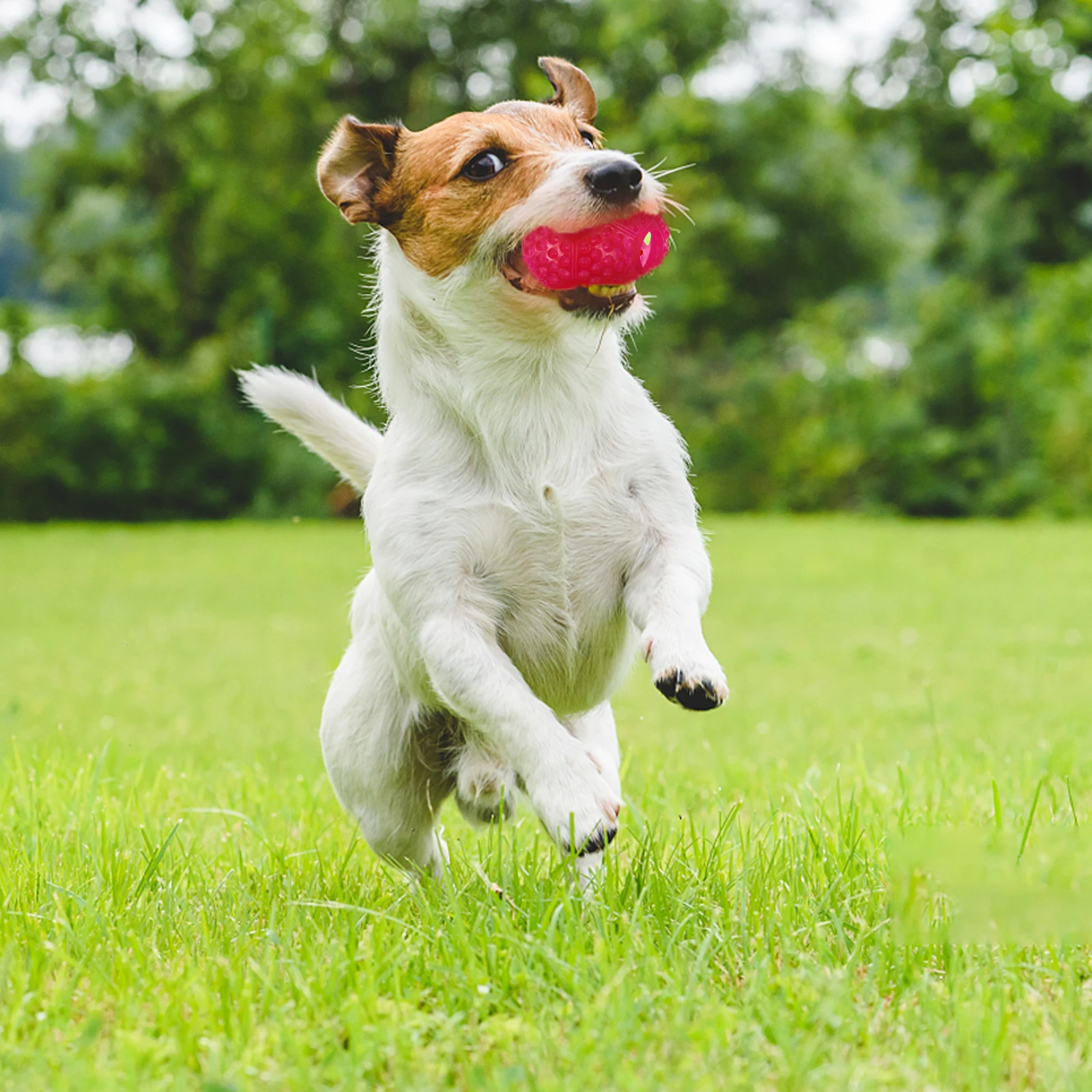 

Chew Treat Slow Feeding Puppy Educational Interactive Plaything For Dogs Pet Chew Treat Dispenser Durable Fun Dog To Improve