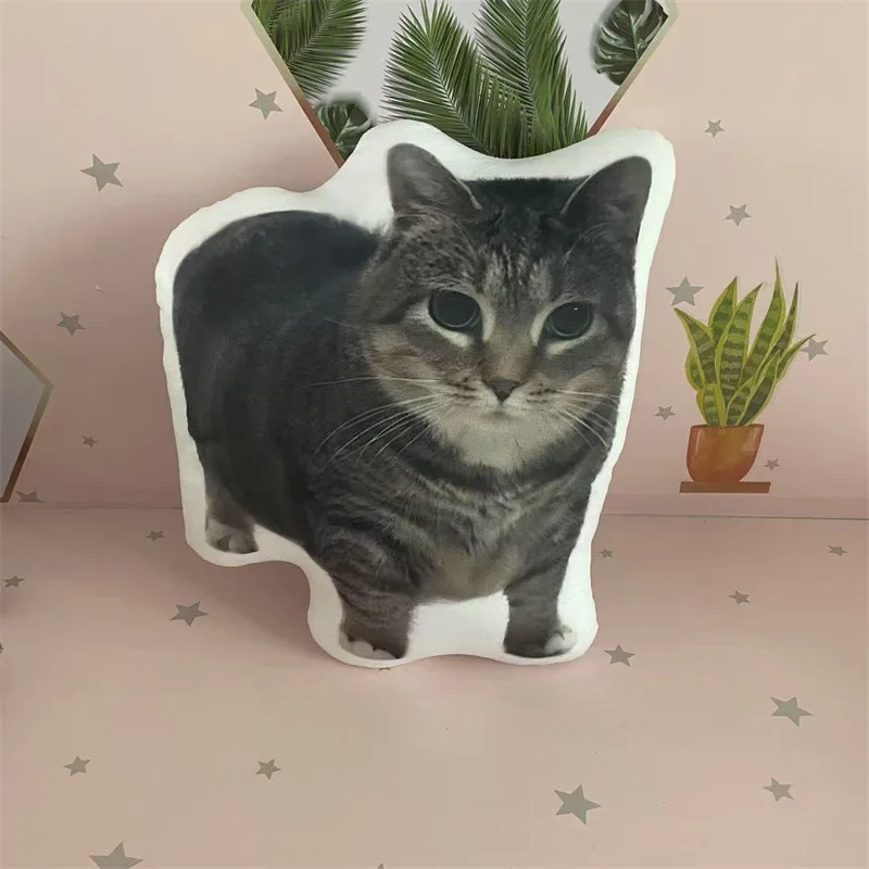 10cm Oiiaioooooiai pluszowa lalka poduszka dla kota Kawaii śliczne internetowe emotikony głos wisiorek PP bawełna sypialnia brelok prezenty zabawki dla dzieci