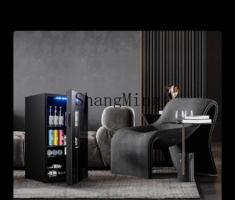 ZYY armadio refrigerato per la conservazione della freschezza del frigorifero di grande capacità per bevande del piccolo soggiorno domestico