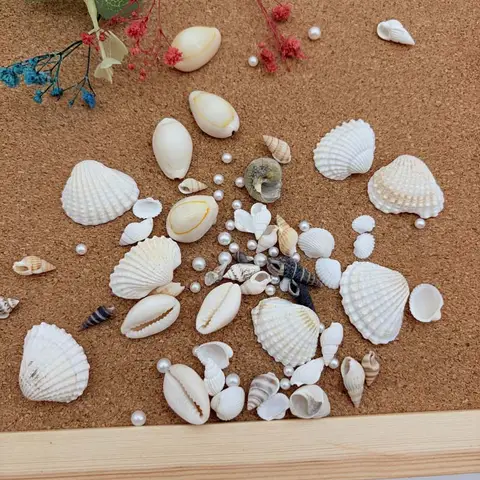1 Box Mix Resin Simulation Pearls Shell For Home Decoration DIY Craft Photo Frame Friend Gifts Drift Bottle Aquarium Decorations