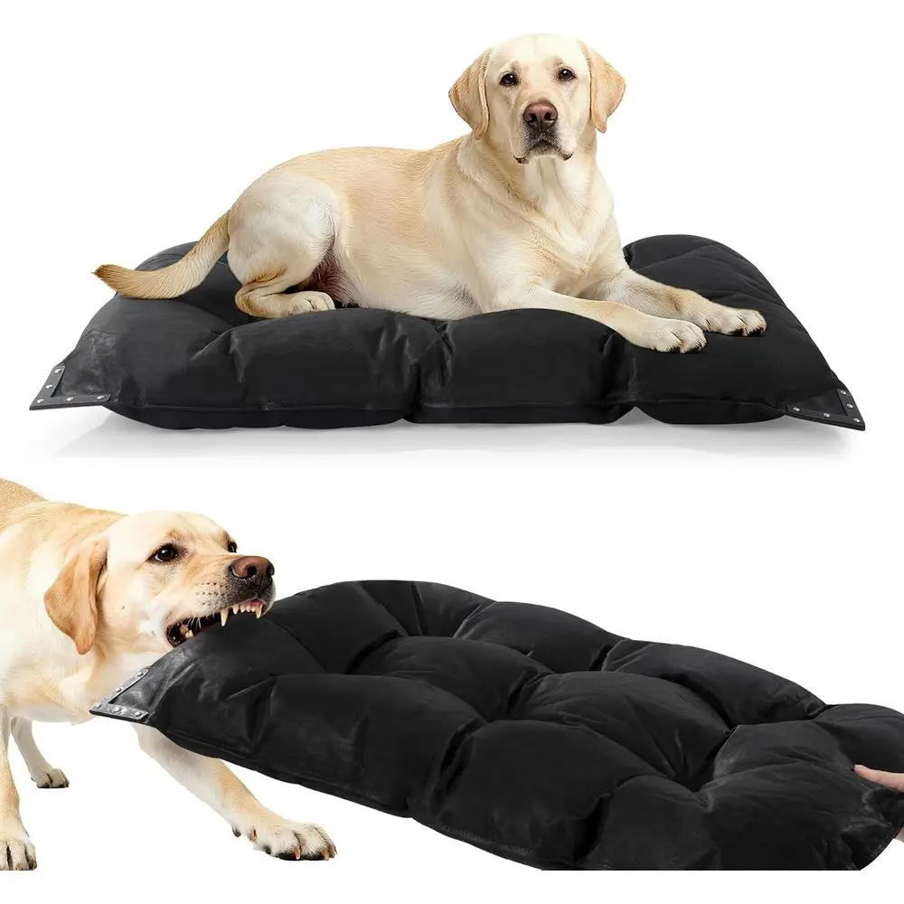 Chew Proof Indestru… - image