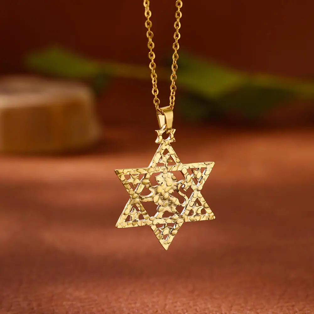 Lion Star of David Necklaces For Women Men Gold Color Stainless Steel Pendant Necklace Male Female Neck Chain Jewelry