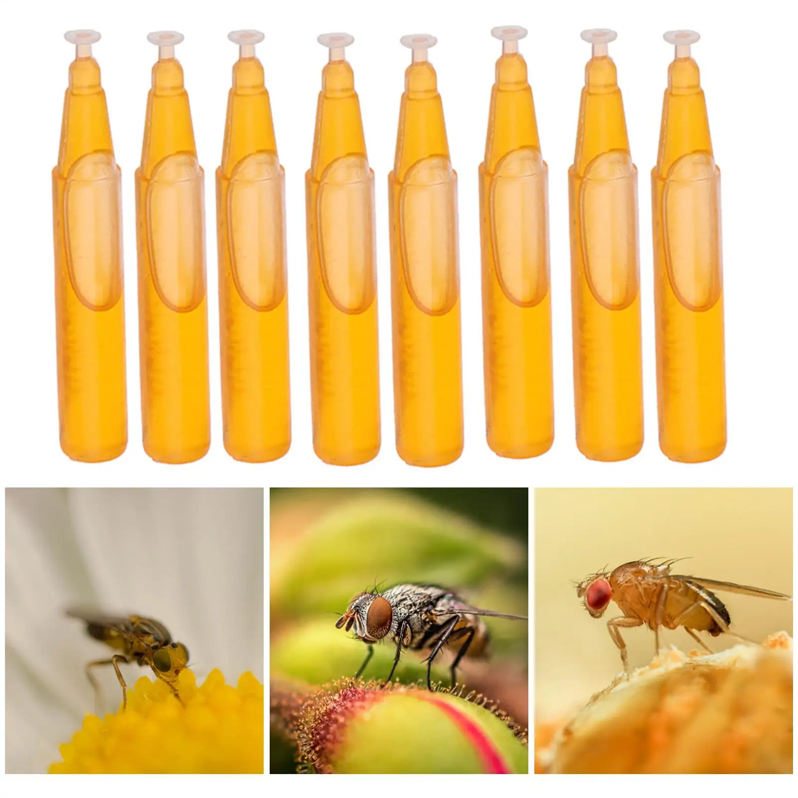 Fruit Fly Attractant Fruit Fly Trap Killer 2ml Drosophila Trap Fly Catcher Liquid For Home Farm Orchard 10 PCS Trapping Tools