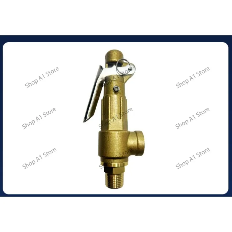 Adjustable Brass Safety Relief Valve DN15, 4.0 MPa Pressure Relief Valve, Excellent Sealing, Pressure Protection Fitting