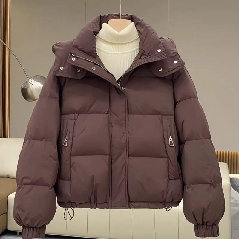 Jaet de algodón Thiened de invierno para mujer, abrigo holgado coreano Sle ort Puffer pan, talla grande, con capucha, cierre de cremallera, largo, Sve