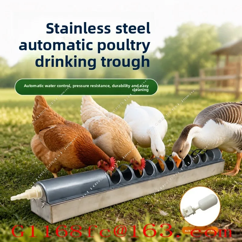 Stainless Steel Chicken Feeding Tank Sink Integrated Duck and Goose Poultry Breeding Water Dispenser Feeder Parts