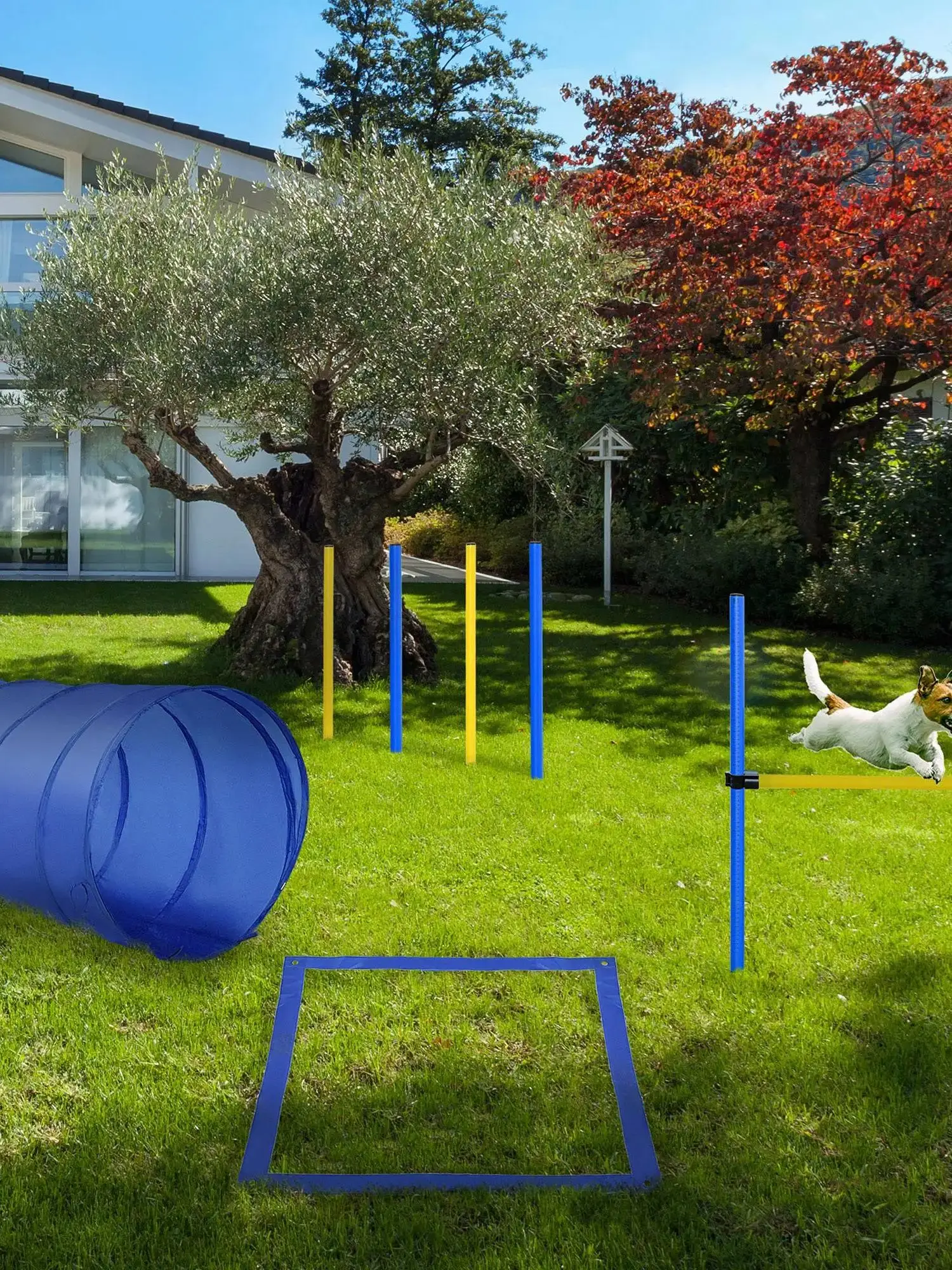 Pawhut Ensemble d'entraînement d'agilité pour chiens Tunnel Obstacles de saut