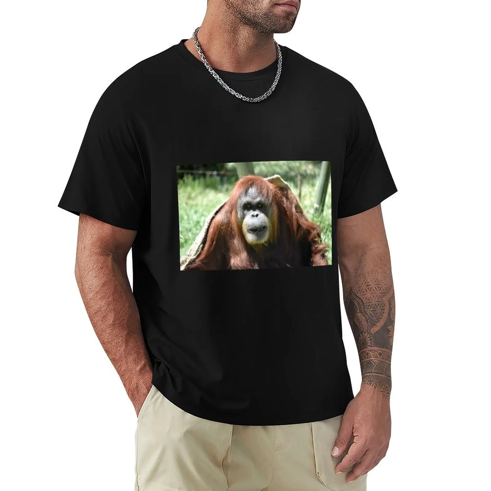 Sumatran Orangutan Karen at the San Diego Zoo T-Shirt anime t shirts vintage anime shirt for a boy mens graphic t-shirts funny