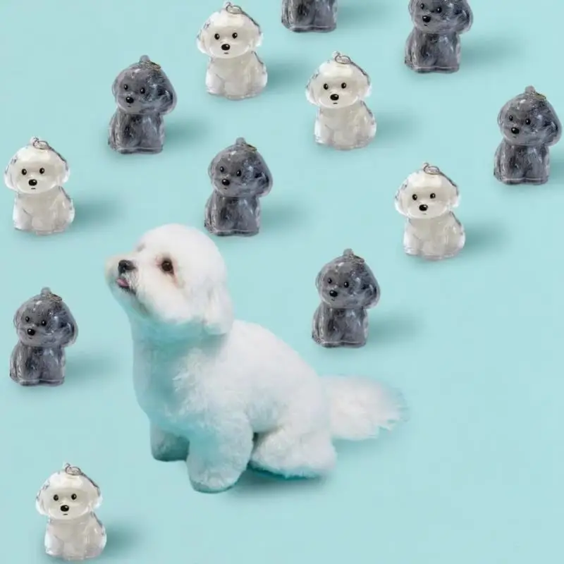 

Dog Shape Dog Hair Storage Box Pet Hair Storage Keychain Box Backpack Cat Bag Pet Dog Hair Keychain Cute Key Ring Pet Souvenirs
