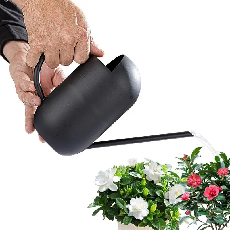 

Indoor Plant Watering Can Long Spout Bottle For Indoor And Outdoor Plants Stainless Steel 800ml Manual Irrigation Small Spray