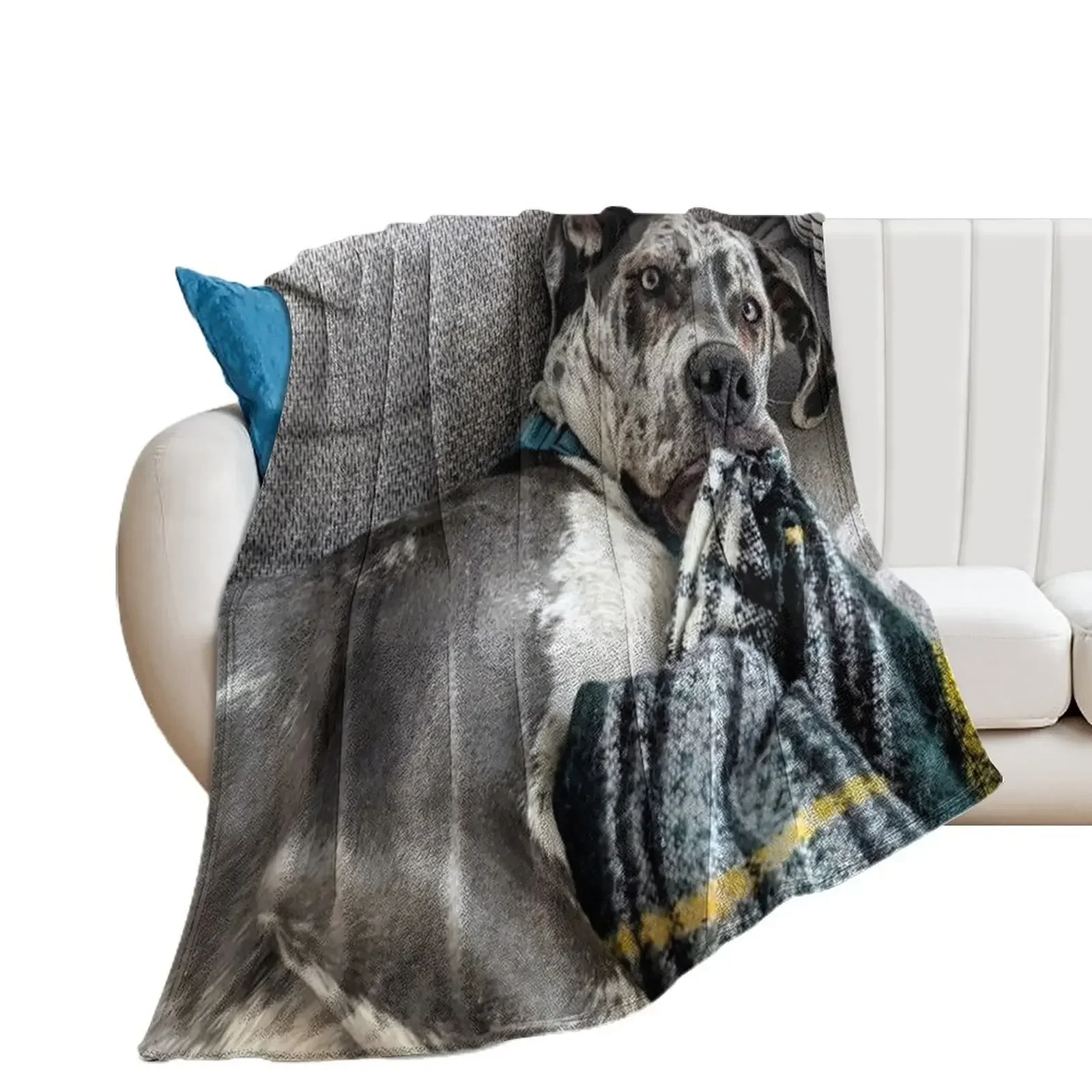 

Great Dane Puppy chewing on Blanket Throw Blanket Bed Fashionable funny gift Blankets