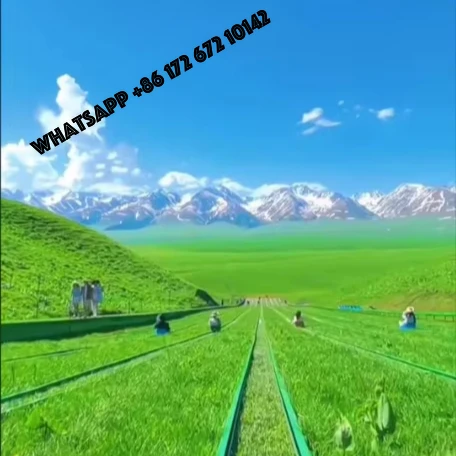 Best sellerLarge Outdoor Extreme Slide Coaster Unpowered Amusement Equipment for Skiing Alpine Track for Parks and Recreation