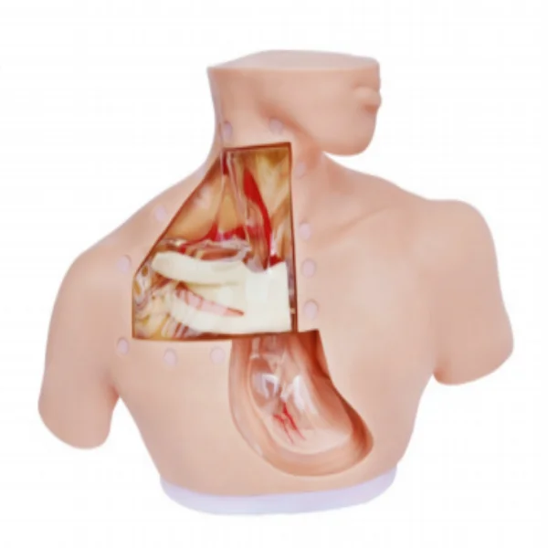 

Advanced Parenteral Nutrition Care Model Nursing Simulator