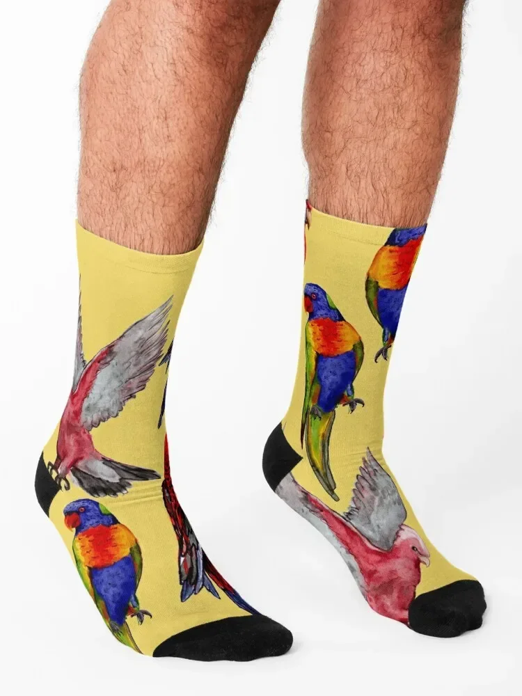 Australian Birds watercolour Socks christmas gifts Run cotton Soccer Socks Men's Women's