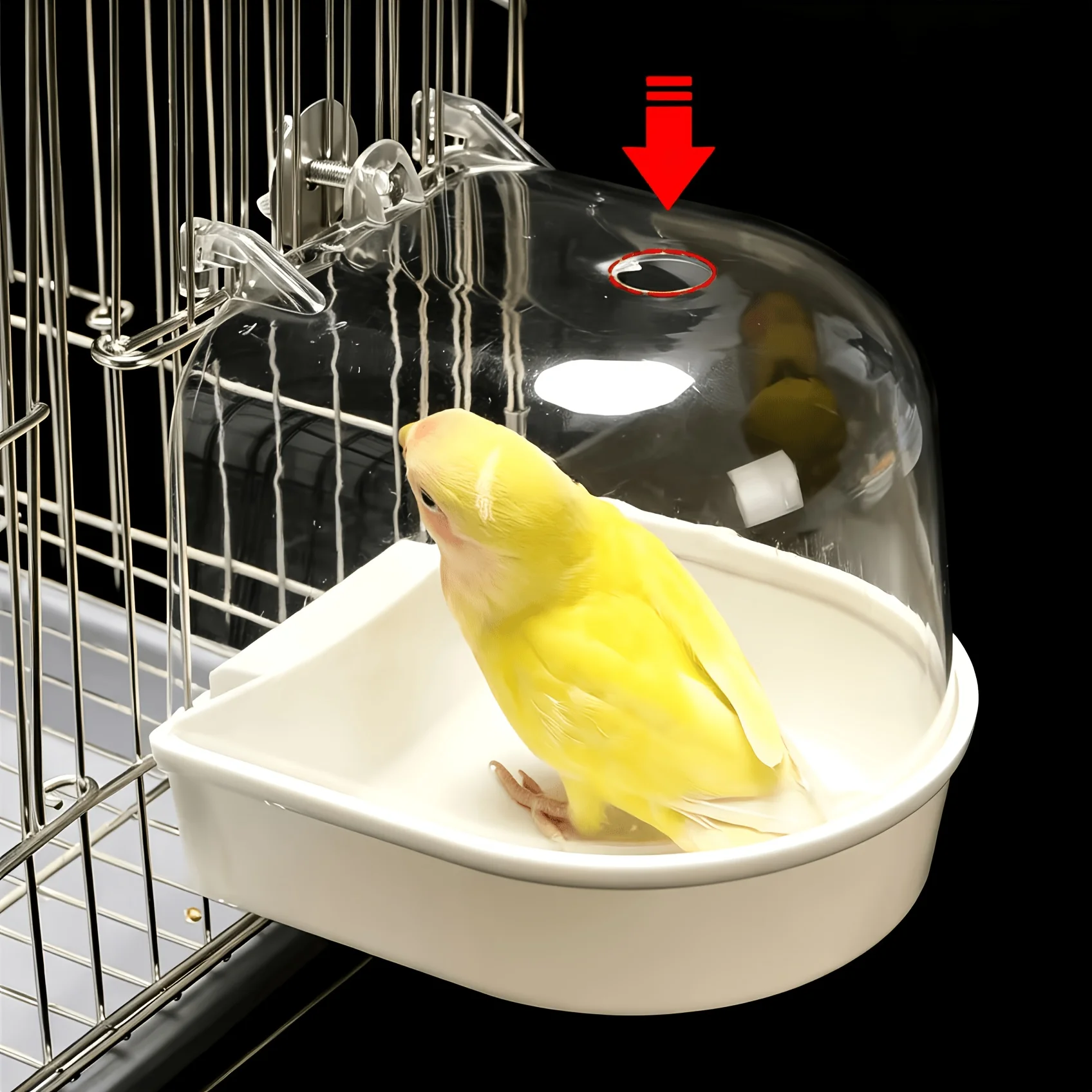1 Bird Bath Tub and 2 Hooks, Transparent Parrot Bathing Bucket Splash-Proof Bird Shower Box, with Portable Handle, Durable Pp Material Bird Cage Bathing Accessory, Suitable for Parrots, Lovebirds, Cockatiels