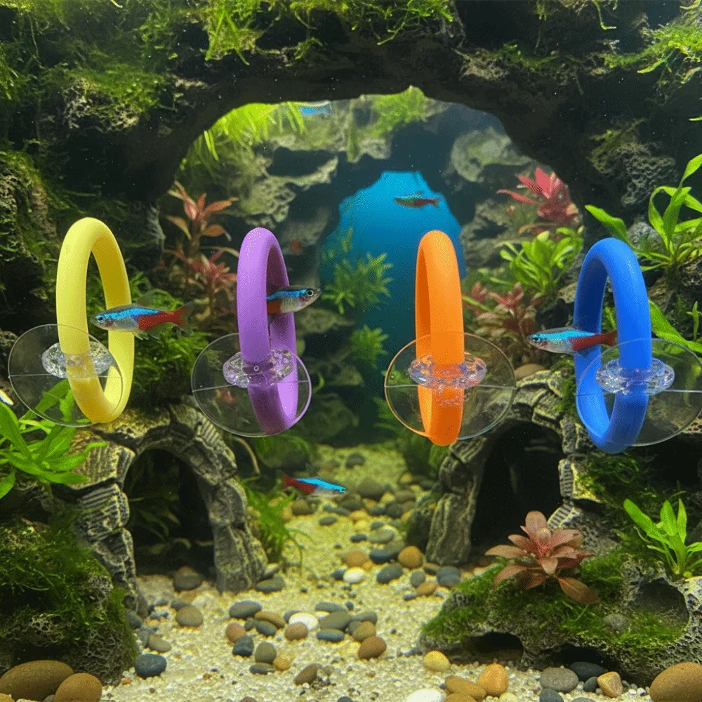 4PCS/SET Suction Cup Fish Training Ring Colorful Waterproof Fish Teasing Toys Fish Tail Toy Betta Training Circle