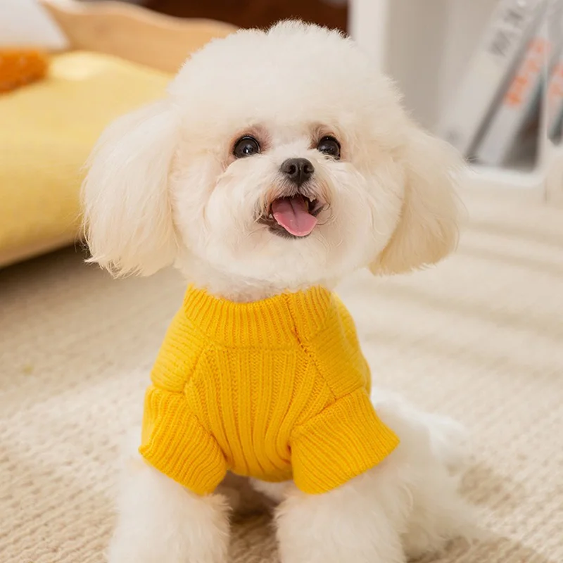 Cute Wind Pet Sweater Simple Small Dinosaur Two Legs Knit Warm Winter Dog Clothes Halloween Pullover Dog Products