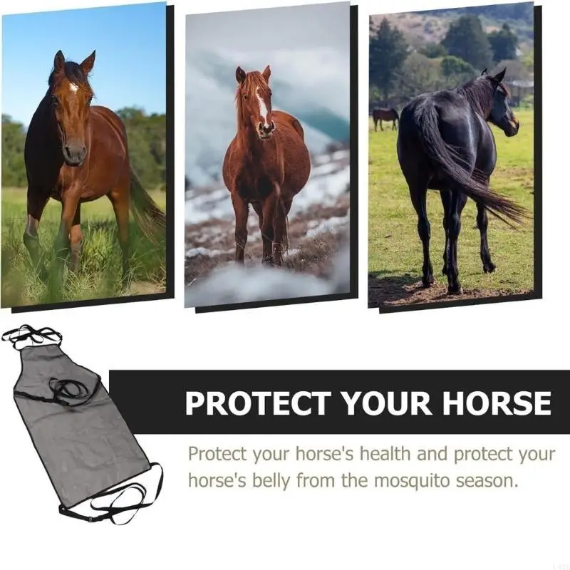capa-protecao-para-barriga-cavalo-protecao-para-abdomen-preta-malha-contra-mosca-cavalo