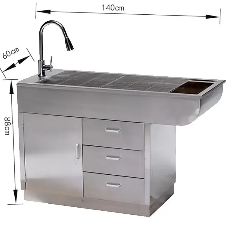 Veterinary Stainless Steel 304 Veterinary Disposal Treatment Table Vet Clinic Hospital Pet