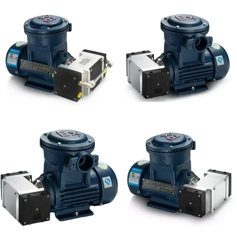 for Micro air pump AD40AC380PTV AC three-phase explosion-proof motor electric oil-free explosion-proof diaphragm vacuum pump
