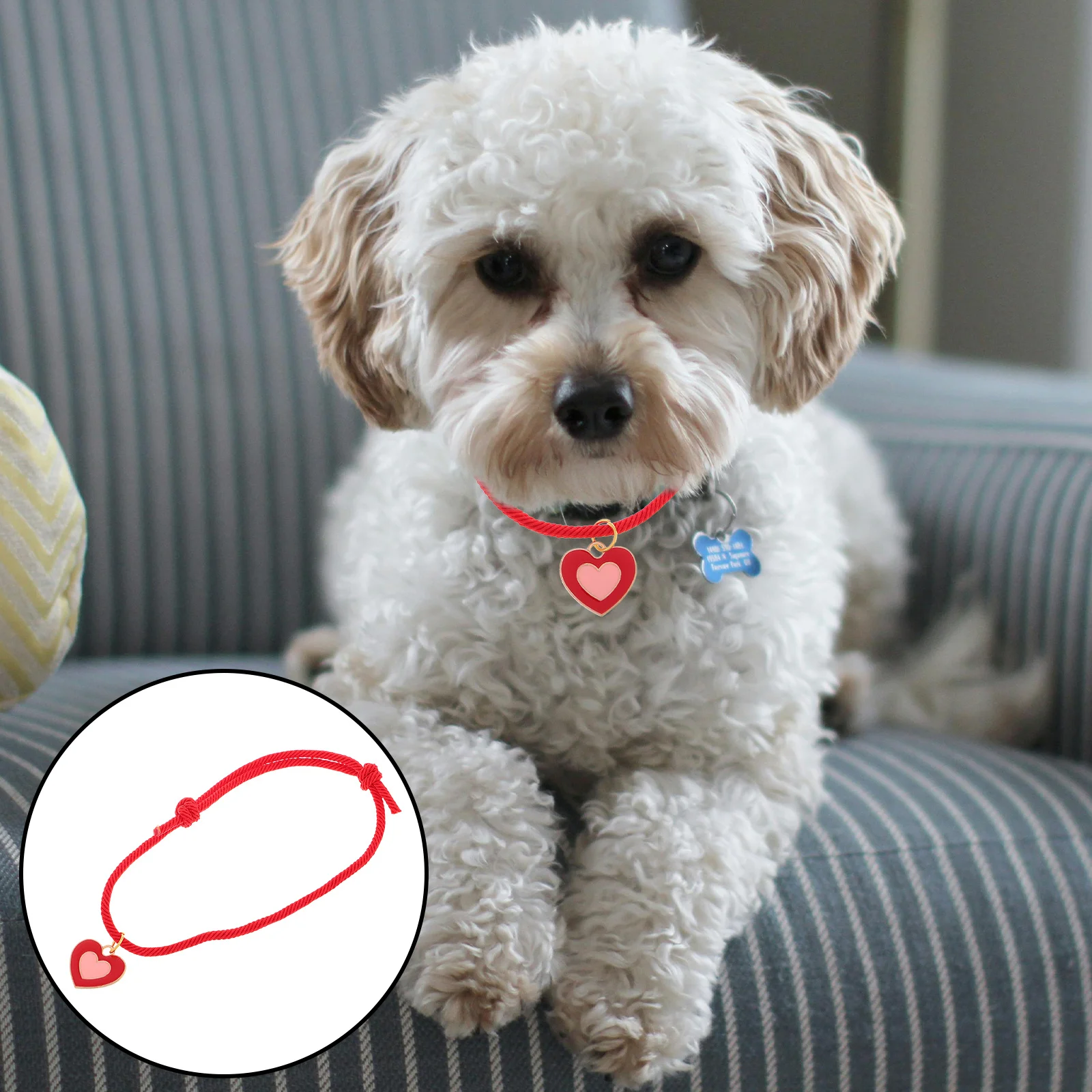 

5Pcs Handmade Pet Collar Red Rope Adjustable Neck Knitted Necklace Lucky Charm Cat Dog Jewelry Accessories Small Dog Cat Collars