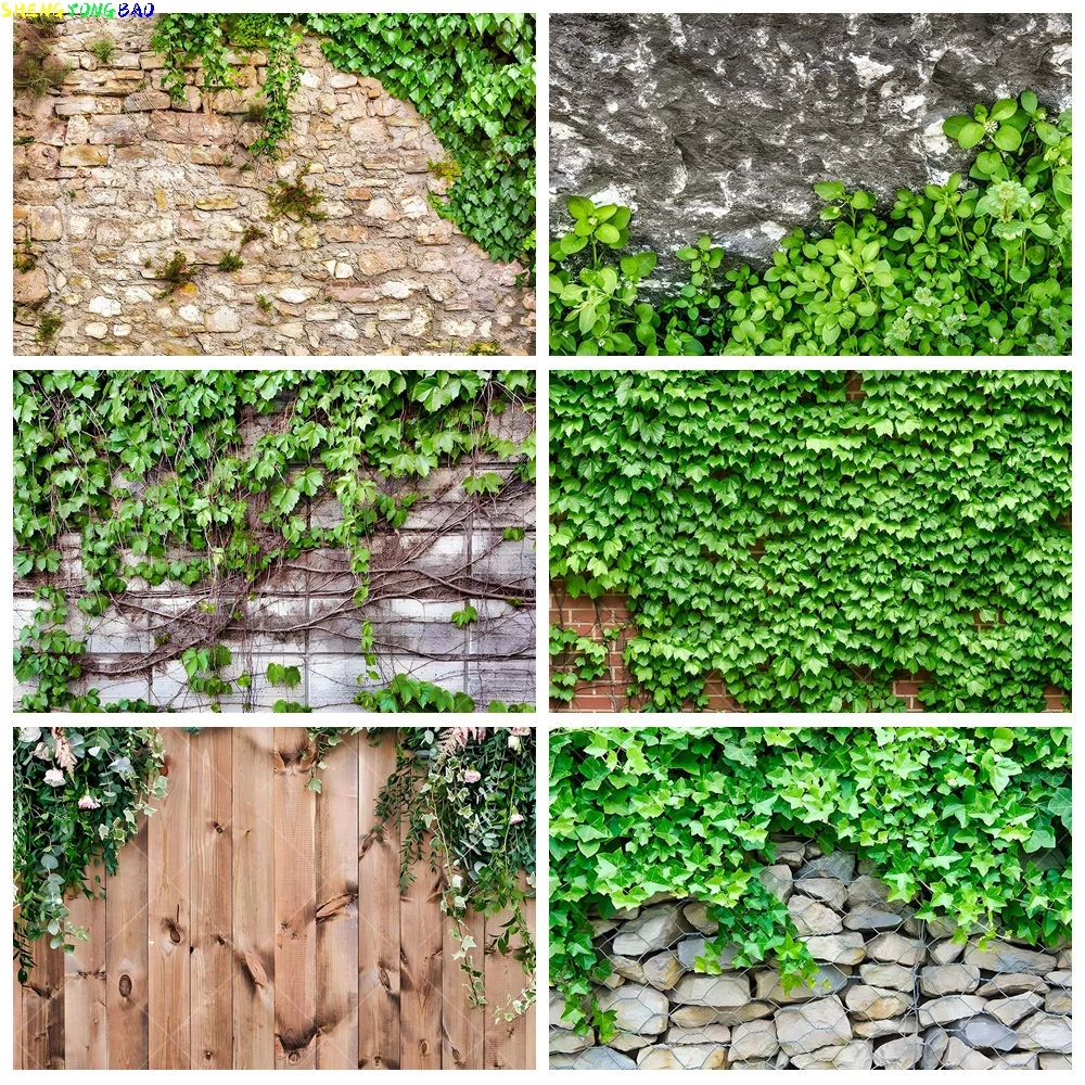Spring Green Leaves Stone Wall Gardening Plant flower Decoration Adult Kid Birthday Party Retro Banner Custom Shot Background