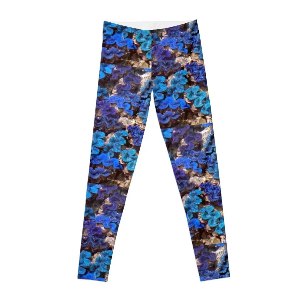 

Blue-lipped Clams, Cocos (Keeling) Islands, Australian Indian Ocean Territories Leggings for physical Womens Leggings